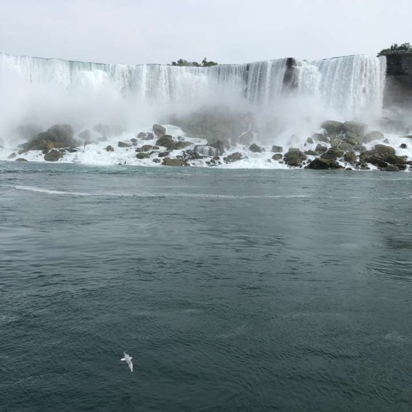 Meet your Posher, Nazmin - Picture 1 of 1